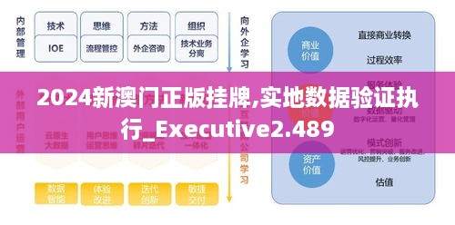 2024新澳門(mén)正版掛牌,實(shí)地數據驗證執行_Executive2.489