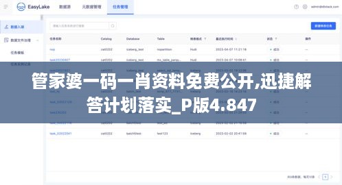 管家婆一碼一肖資料免費公開(kāi),迅捷解答計劃落實(shí)_P版4.847
