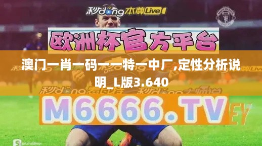 澳門(mén)一肖一碼一一特一中廠(chǎng),定性分析說(shuō)明_L版3.640