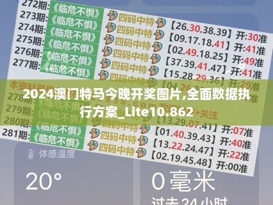 2024澳門(mén)特馬今晚開(kāi)獎圖片,全面數據執行方案_Lite10.862