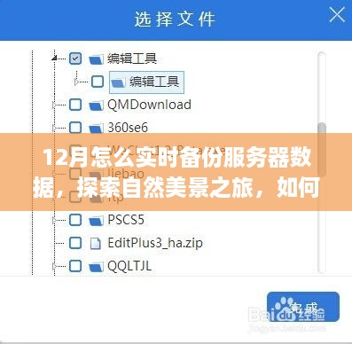 十二月服務(wù)器數據實(shí)時(shí)備份與自然美景探索，尋找內心的寧靜和平和之路