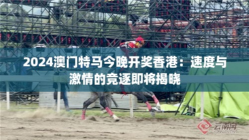 2024澳門(mén)特馬今晚開(kāi)獎香港：速度與激情的競逐即將揭曉