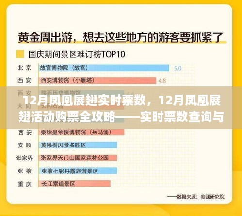 12月鳳凰展翅活動(dòng)購票指南，實(shí)時(shí)票數查詢(xún)與購票步驟全解析