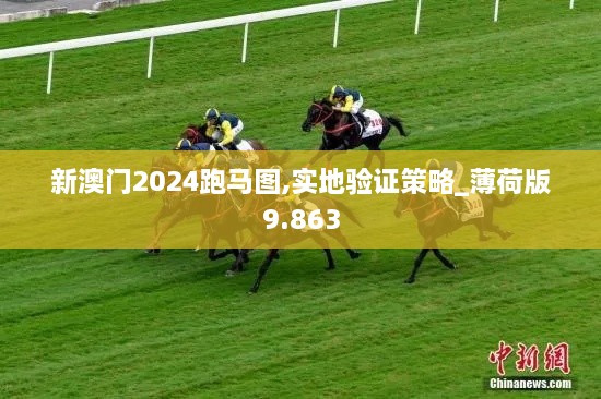 新澳門(mén)2024跑馬圖,實(shí)地驗證策略_薄荷版9.863