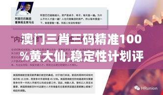 澳門(mén)三肖三碼精準100%黃大仙,穩定性計劃評估_WearOS7.187
