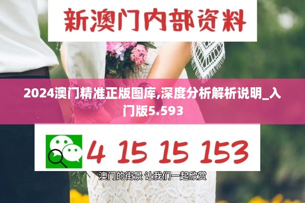 2024澳門(mén)精準正版圖庫,深度分析解析說(shuō)明_入門(mén)版5.593