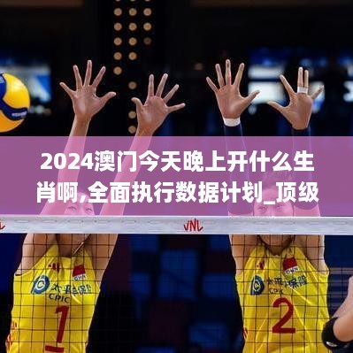 2024澳門(mén)今天晚上開(kāi)什么生肖啊,全面執行數據計劃_頂級款10.847