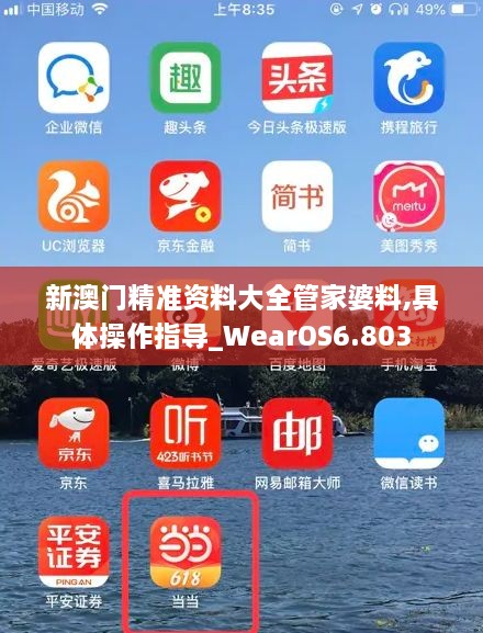 新澳門(mén)精準資料大全管家婆料,具體操作指導_WearOS6.803