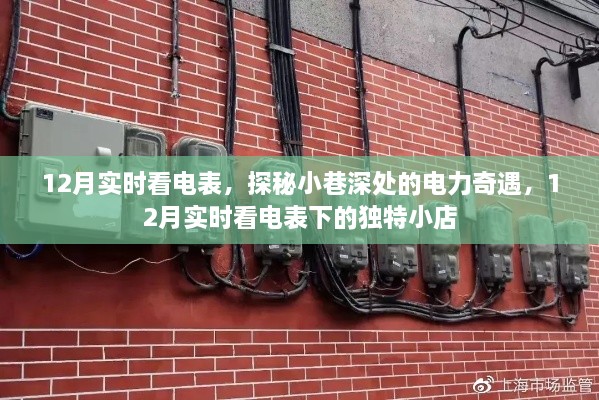 探秘小巷深處的電力奇遇，實(shí)時(shí)觀(guān)察電表下的獨特小店生活