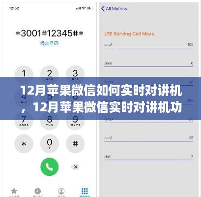 12月蘋(píng)果微信實(shí)時(shí)對講機功能使用指南，步驟詳解與操作技巧