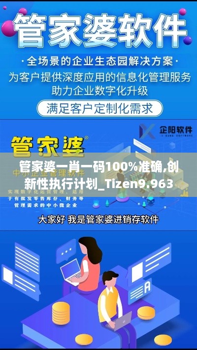 管家婆一肖一碼100%準確,創(chuàng  )新性執行計劃_Tizen9.963