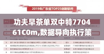 功夫早茶單雙中特770461C0m,數據導向執行策略_體驗版7.499