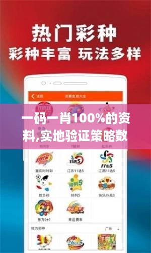 一碼一肖100%的資料,實(shí)地驗證策略數據_完整版3.163