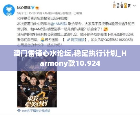 澳門(mén)雷鋒心水論壇,穩定執行計劃_Harmony款10.924