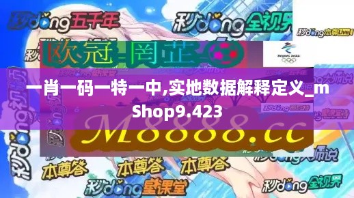 一肖一碼一特一中,實(shí)地數據解釋定義_mShop9.423