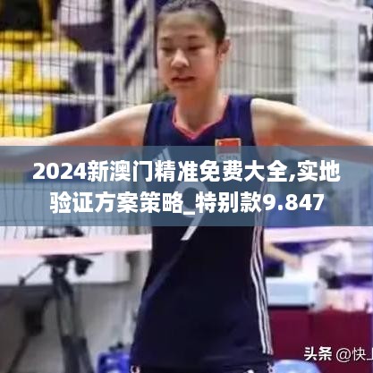 2024新澳門(mén)精準免費大全,實(shí)地驗證方案策略_特別款9.847