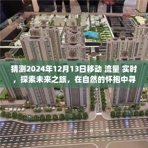 未來(lái)之旅，探索移動(dòng)流量的奇跡，在自然的懷抱中找尋內心平和與未來(lái)流量實(shí)時(shí)體驗