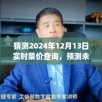 洞悉未來(lái)生活成本變化，預測與查詢(xún)指南——2024年12月13日實(shí)時(shí)菜價(jià)動(dòng)態(tài)分析預測報告