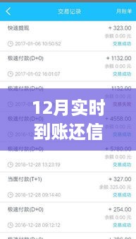 12月實(shí)時(shí)到賬，高效管理信用卡欠款，輕松還信用卡