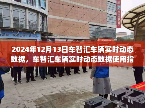 車(chē)智匯車(chē)輛實(shí)時(shí)動(dòng)態(tài)數據使用指南（最新更新版）