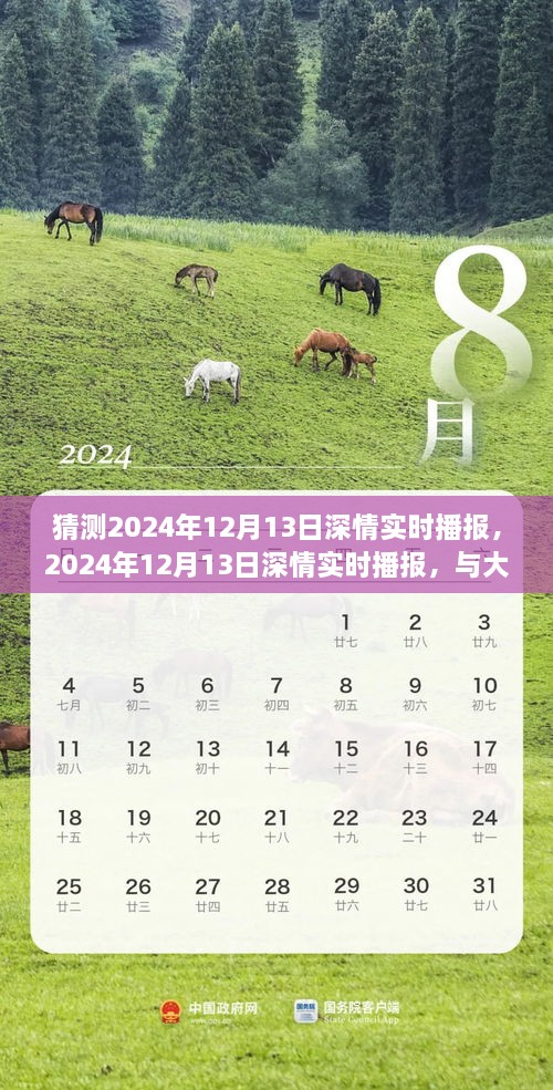深情播報，與大自然共舞，尋找心靈寧靜之地——2024年12月13日深情實(shí)時(shí)播報