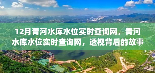 透視背后的故事與影響，青河水庫水位實(shí)時(shí)查詢(xún)網(wǎng)深度解析（附實(shí)時(shí)數據）