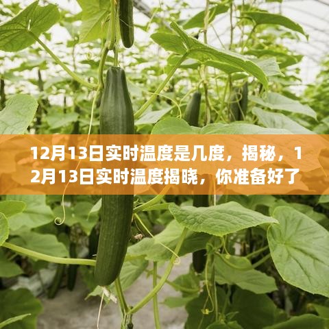 揭秘，12月13日實(shí)時(shí)溫度揭曉，氣溫預警已發(fā)布！