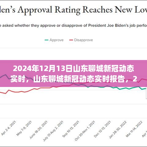 山東聊城新冠疫情動(dòng)態(tài)報告，回顧與展望（2024年12月13日）
