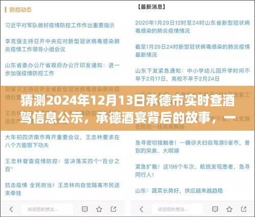 承德酒宴背后的故事，酒駕信息公示探秘之旅（猜測2024年12月13日承德市實(shí)時(shí)查酒駕信息公示）