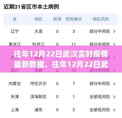 往年12月22日武漢實(shí)時(shí)疫情數據深度解析，特性、體驗、競品對比及用戶(hù)群體分析報告