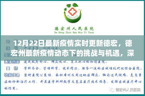 德宏州最新疫情動(dòng)態(tài)下的挑戰與機遇深度解析，實(shí)時(shí)更新與觀(guān)點(diǎn)闡述
