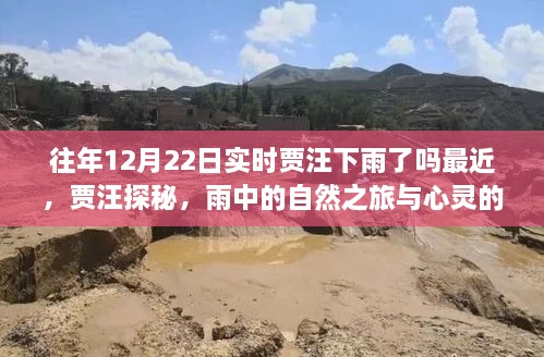 賈汪探秘，雨中之行與心靈寧靜的交融體驗（實(shí)時(shí)賈汪天氣查詢(xún)）