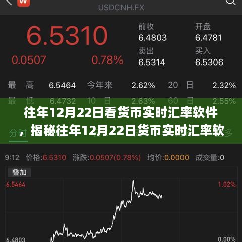 揭秘，往年12月22日貨幣實(shí)時(shí)匯率軟件的魅力與應用體驗