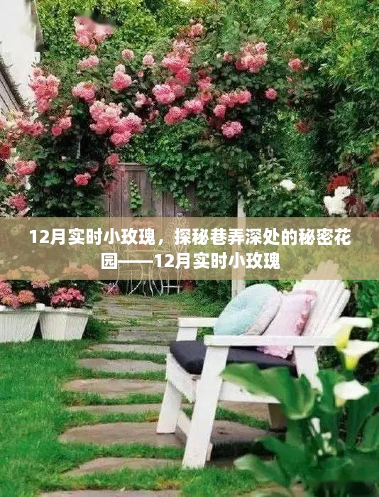 探秘巷弄深處的秘密花園，12月實(shí)時(shí)小玫瑰盛開(kāi)記