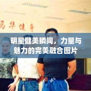明星健美瞬間，力量與魅力的完美融合圖片展示