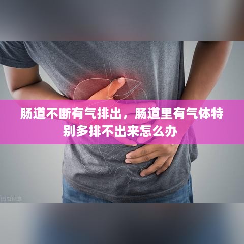 腸道不斷有氣排出，腸道里有氣體特別多排不出來(lái)怎么辦 