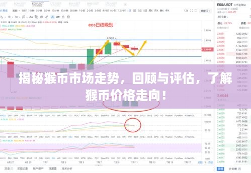 揭秘猴幣市場(chǎng)走勢，回顧與評估，了解猴幣價(jià)格走向！