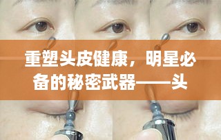 重塑頭皮健康，明星必備的秘密武器——頭皮精華