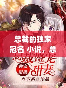 總裁的獨家冠名 小說(shuō)，總裁的獨家盛寵全文免費閱讀 