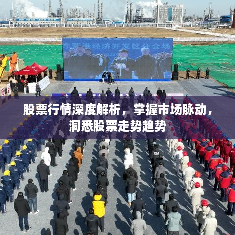 股票行情深度解析，掌握市場(chǎng)脈動(dòng)，洞悉股票走勢趨勢