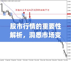 股市行情的重要性解析，洞悉市場(chǎng)變化的關(guān)鍵所在！