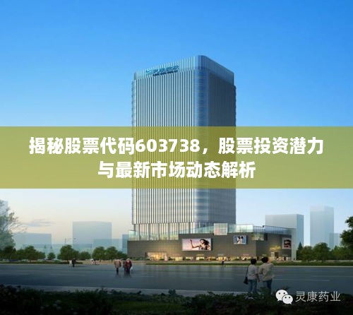 揭秘股票代碼603738，股票投資潛力與最新市場(chǎng)動(dòng)態(tài)解析