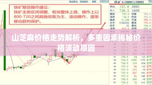 山芝麻價(jià)格走勢解析，多重因素揭秘價(jià)格波動(dòng)原因