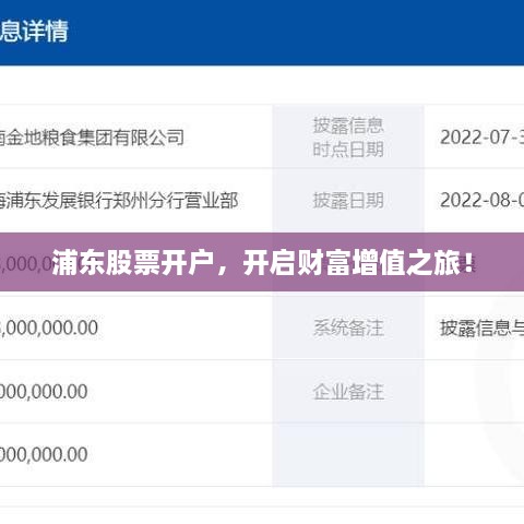 浦東股票開(kāi)戶(hù)，開(kāi)啟財富增值之旅！