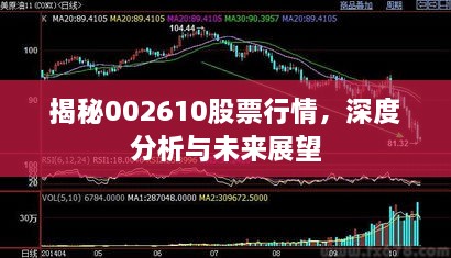 揭秘002610股票行情，深度分析與未來(lái)展望
