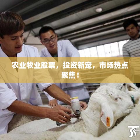 農業(yè)牧業(yè)股票，投資新寵，市場(chǎng)熱點(diǎn)聚焦！