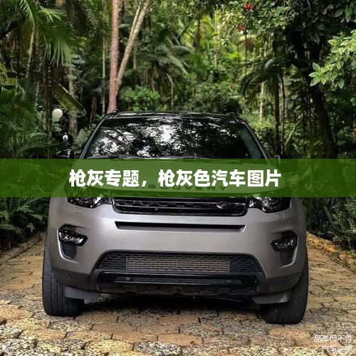 槍灰專(zhuān)題，槍灰色汽車(chē)圖片 