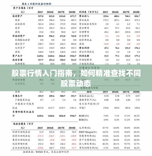 股票行情入門(mén)指南，如何精準查找不同股票動(dòng)態(tài)