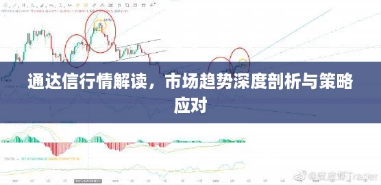 通達信行情解讀，市場(chǎng)趨勢深度剖析與策略應對