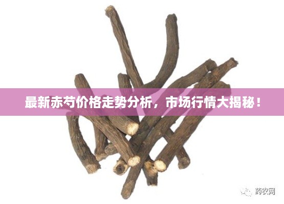 最新赤芍價(jià)格走勢分析，市場(chǎng)行情大揭秘！